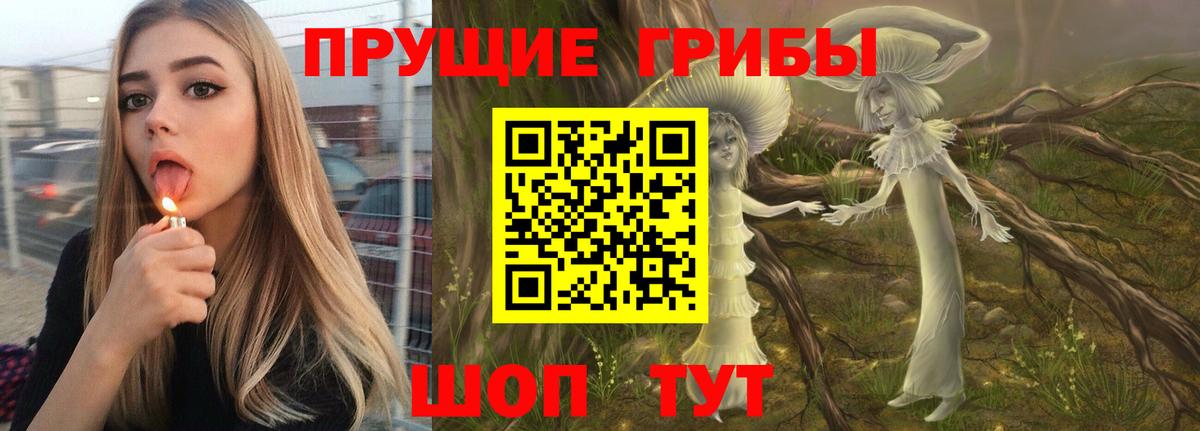 Галлюциногенные грибы прущие грибы Губаха